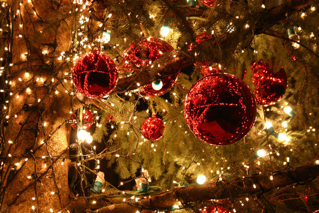 Consigli alimentari per le feste di Natale
